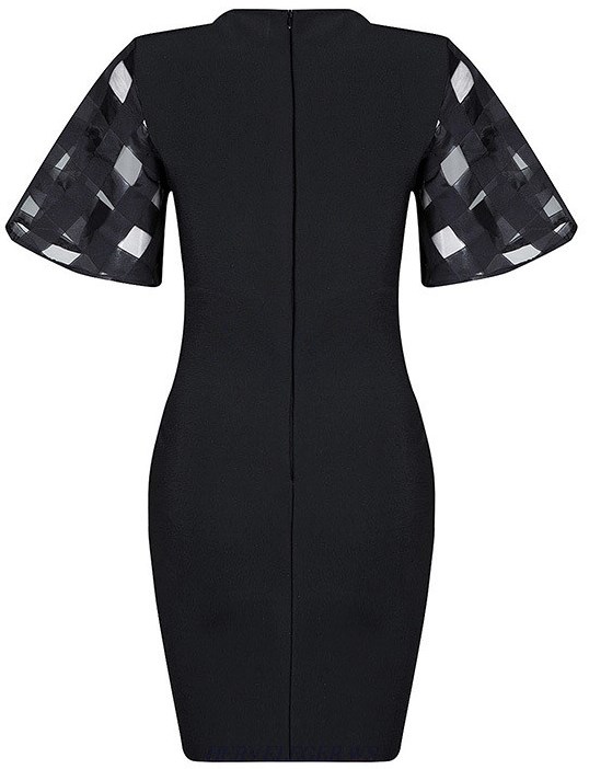 Herve Leger Black Mesh Sleeve Dress