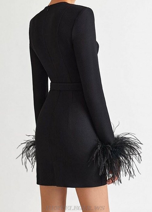 Herve Leger Black Feather Long Sleeve Bustier Dress