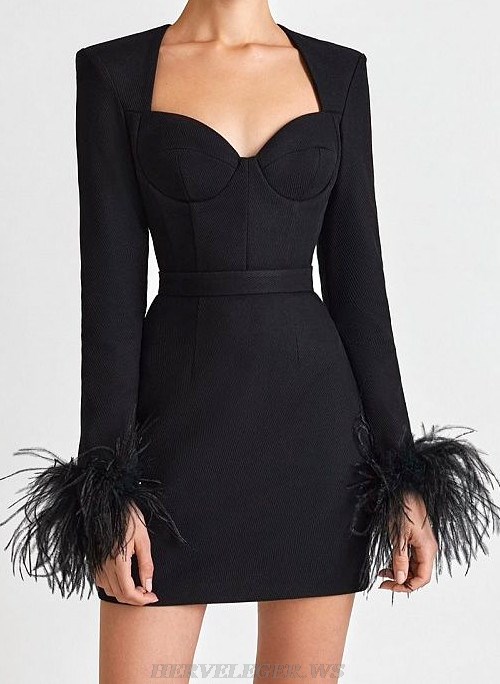 Herve Leger Black Feather Long Sleeve Bustier Dress