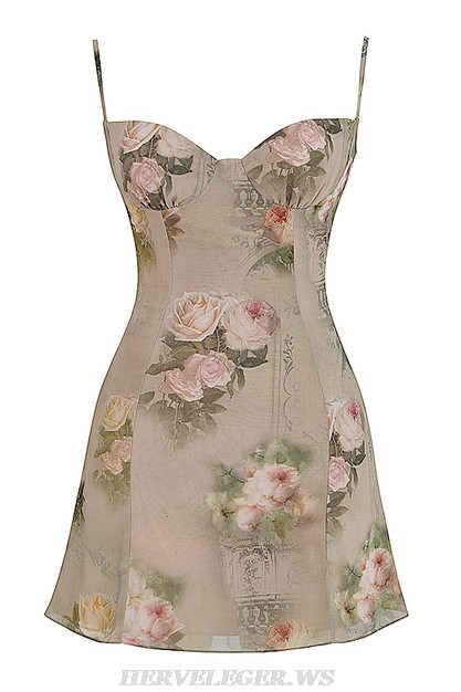 Herve Leger Bustier A Line Floral Dress